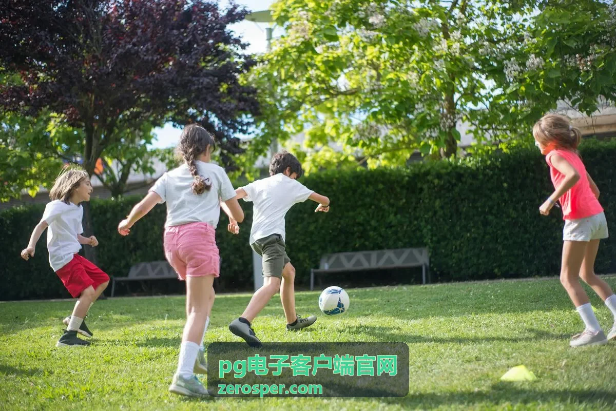 pg电子客户端账号安全设置界面配图