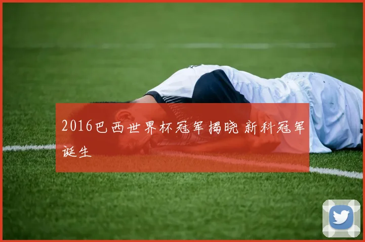 2016巴西世界杯冠军揭晓 新科冠军诞生