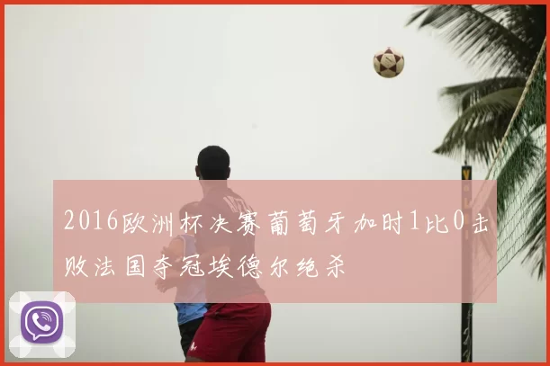 2016欧洲杯决赛葡萄牙加时1比0击败法国夺冠埃德尔绝杀