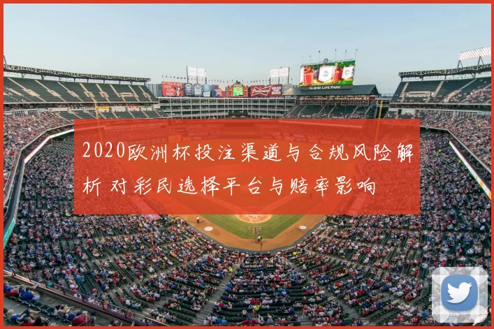 2020欧洲杯投注渠道与合规风险解析 对彩民选择平台与赔率影响
