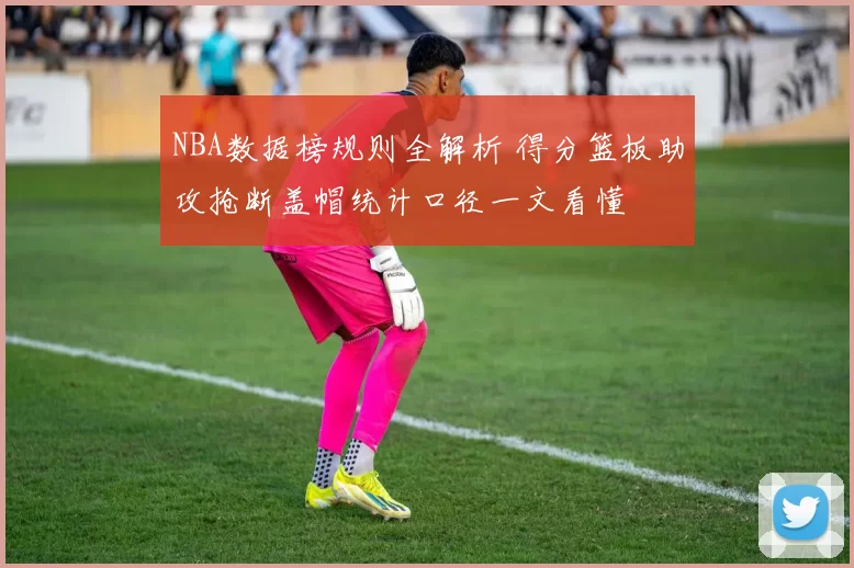 NBA数据榜规则全解析 得分篮板助攻抢断盖帽统计口径一文看懂
