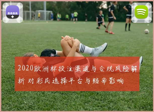 2020欧洲杯投注渠道与合规风险解析 对彩民选择平台与赔率影响