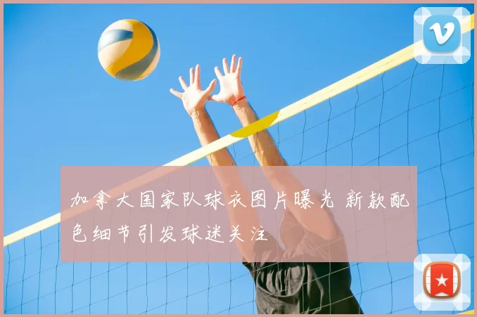 加拿大国家队球衣图片曝光 新款配色细节引发球迷关注