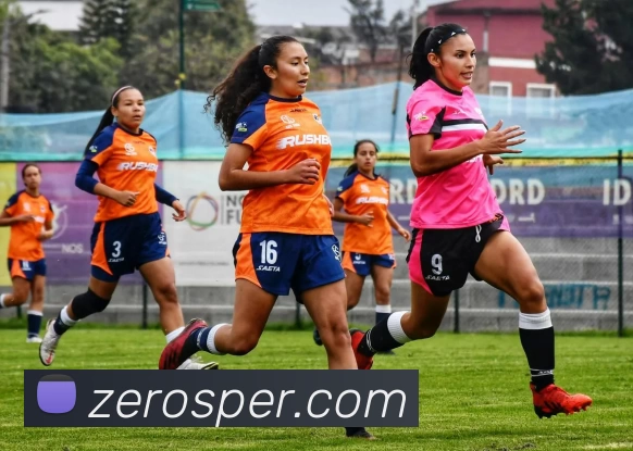 九游j9官网首页APP 封面图